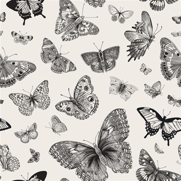 پروانه ها الگوی بدون درز وکتور تصویر کلاسیک قدیمی سیاه و سفید