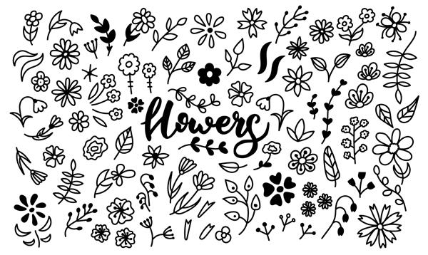 مجموعه وکتور بزرگ از گل های ابله یک دسته گل شاخه ها گلبرگ ها گیاهان گلدار و غیره سیاه و سفید با دست طراحی شده است طرحی از دسته گل برگ های عاشقانه جدا شده در پس زمینه سفید