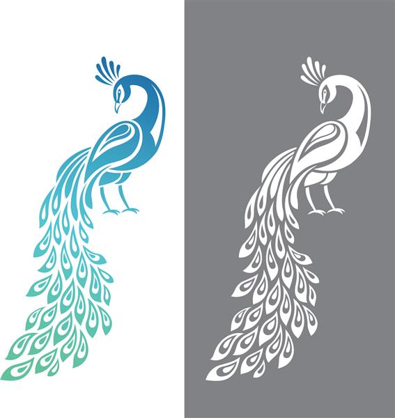 تصویر برداری از طاووس در تغییرات رنگی و تک رنگ