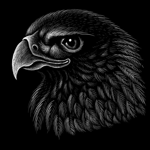 عقاب لوگوی وکتور برای طراحی خالکوبی یا تی شرت یا لباس بیشتر پس زمینه عقاب به سبک شکار