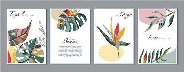 مجموعه وکتور کارت های خلاقانه مد روز با عناصر گرمسیری عجیب و غریب گل برگ های نخل به سبک انتزاعی گرافیکی طراحی پوستر کارت دعوتنامه پلاکارد بروشور