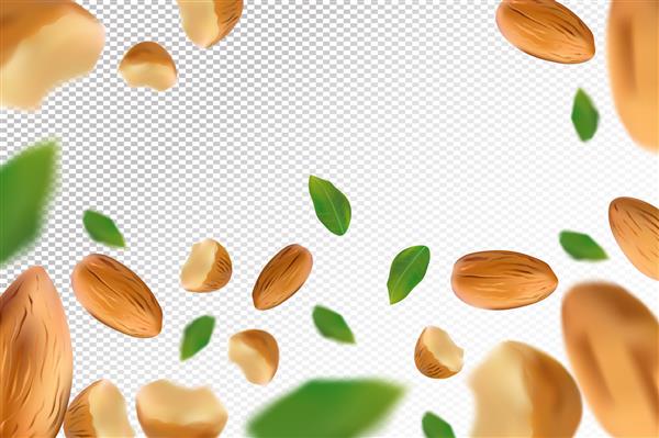 پس زمینه آجیل بادام بادام پرنده با برگ سبز در پس زمینه شفاف آجیل سه بعدی واقع گرایانه ریزش بادام از زوایای مختلف تصویر برداری