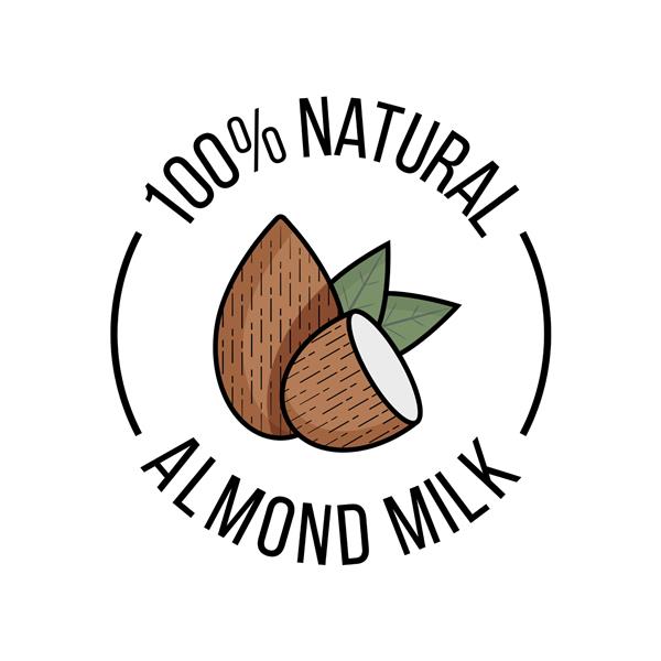 شیر بادام وکتور تصویر مسطح آجیل بادام با برگ سبز آجیل بادام کامل و نصف برای طراحی بسته بندی محصولات ارگانیک طبیعی گیاهی
