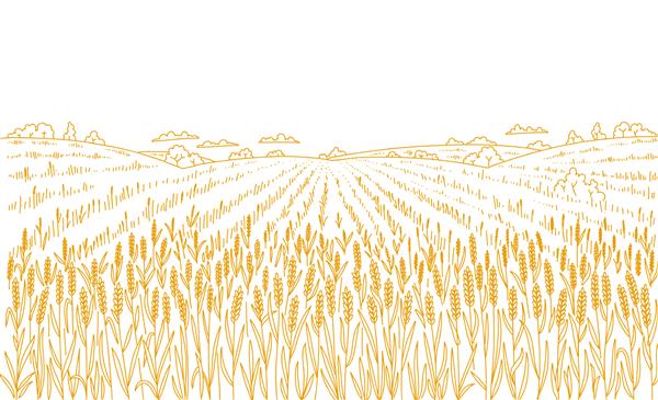 مزرعه گندم کشاورزی طرح طراحی شده با دست چشم انداز چشم انداز روستایی برداشت غلات علفزار خشک خط وکتور کانتور لفاف نان فضای کپی