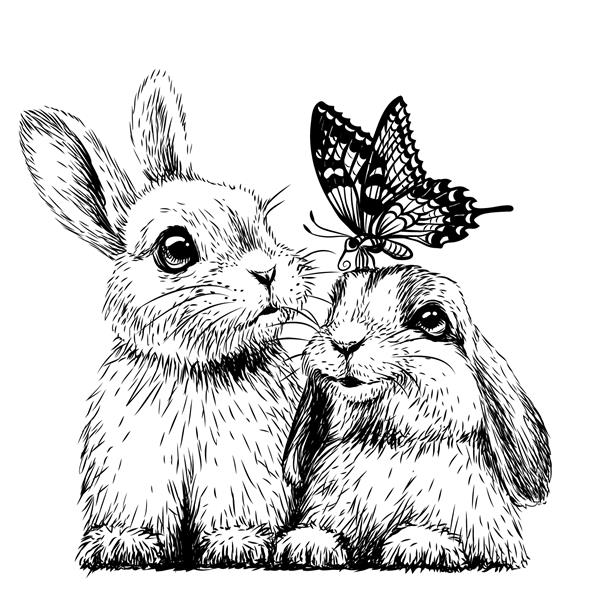 خرگوش های کوچک با یک پروانه برچسب دیواری طرح پرتره هنری دو خرگوش کوچک بامزه با یک پروانه در پس‌زمینه سفید طراحی وکتور دیجیتال