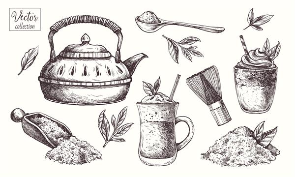 ماچا پودر ماچا چای ارگانیک با ابزار ژاپنی وکتور دست کشیده طرح تصویر گیاه شناسی