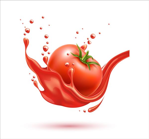 گوجه فرنگی رسیده واقع گرایانه در آبدار قرمز وکتور انفجار آب گوجه فرنگی برای طراحی بسته بندی محصول سالم و ارگانیک پاشیدن نوشیدنی تازه جریان آب گوجه فرنگی