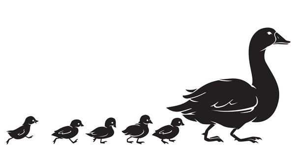  عکس کارتونی اردک