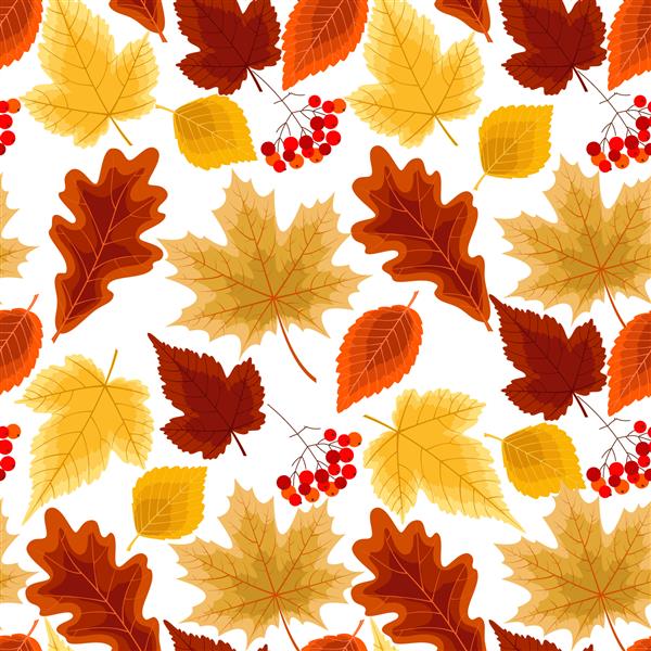 الگوی بدون درز با برگ های پاییزی و انواع توت ها پس زمینه پاییز تصویر برداری