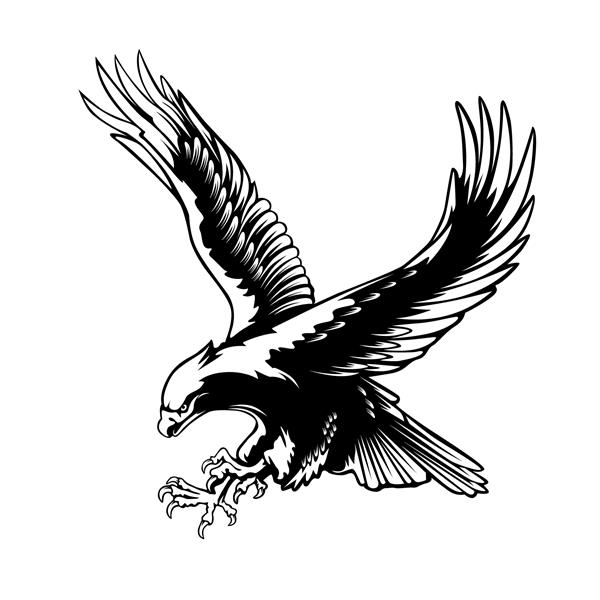 عقاب قدیمی طراحی عالی برای هر منظوری طراحی تصویر برداری وکتور طرح وکتور عقاب آمریکایی پس زمینه قدیمی پرواز عقاب طاس پس زمینه مشکی نماد وکتور