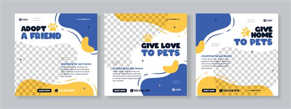 مجموعه سه پس‌زمینه سیال بنر تبلیغاتی مراقبت از حیوانات خانگی قالب بسته رسانه‌های اجتماعی وکتور ممتاز