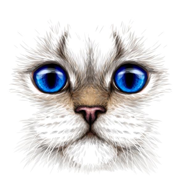 گربه طراحی خلاقانه پرتره رنگی گربه با چشمان آبی از نمای نزدیک در پس زمینه سفید گرافیک وکتور دیجیتال