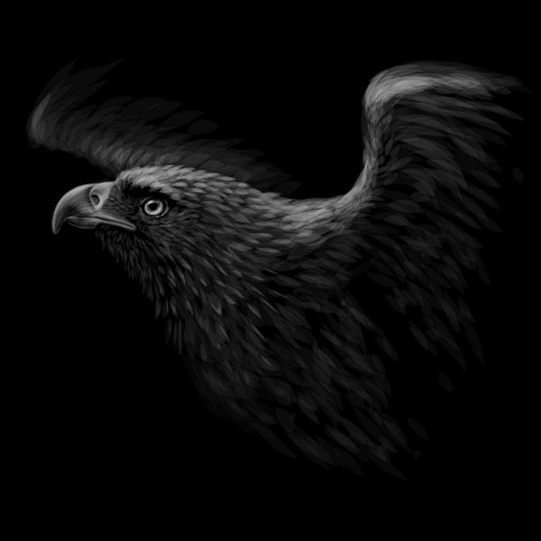 یک شاهین پرتره سیاه و سفید و گرافیکی یک شاهین در حال پرواز در پس زمینه سیاه گرافیک وکتور دیجیتال