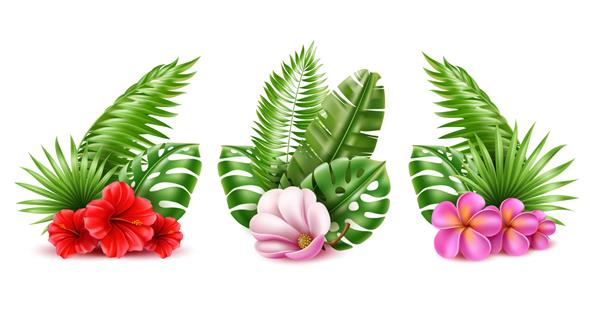 دسته گل گرمسیری ترکیبات واقعی گلهای زیبا و برگهای عجیب و غریب گل فروشی و دکوراسیون چیدمان جنگل هیولا و شاخ و برگ نخل هاوایی با هیبیسکوس مجموعه وکتور کامل