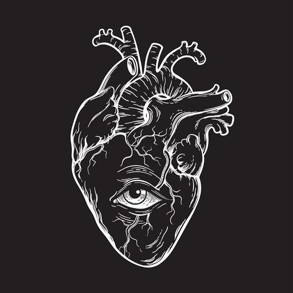 قلب انسان از نظر آناتومیک درست با خالکوبی فلش خطی با دست کشیده شده با چشم یا تصویر برداری طرح چاپی