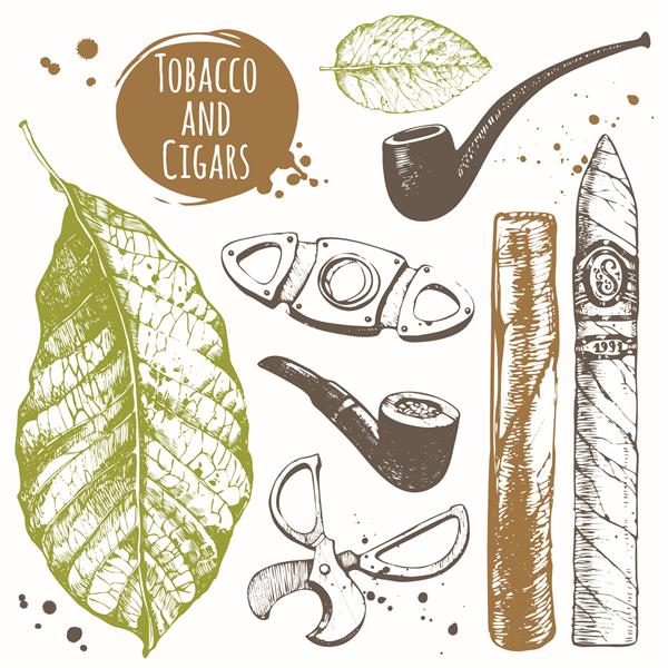 ست سیگار کشیدن سیگار برگ به سبک طرح تصویر برداری با پیپ گیوتین برگ تنباکو ست سیگار کشیدن کلاسیک