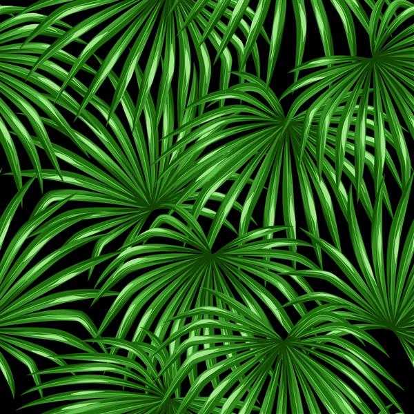الگوی بدون درز با برگ های نخل تصویر تزئینی برگ استوایی درخت نخل Livistona Rotundifolia پس زمینه بدون ماسک برش ساخته شده است استفاده آسان برای پس زمینه پارچه کاغذ بسته بندی