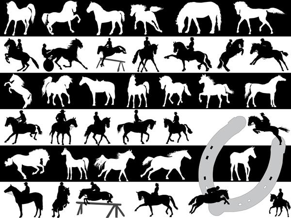 تصویر برداری از اسب ها روی سیاه و سفید