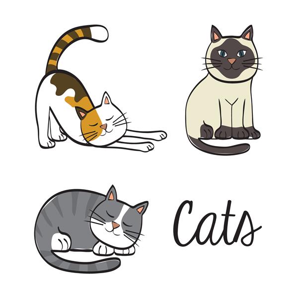 طراحی گربه مفهوم حیوان تصویر مسطح وکتور