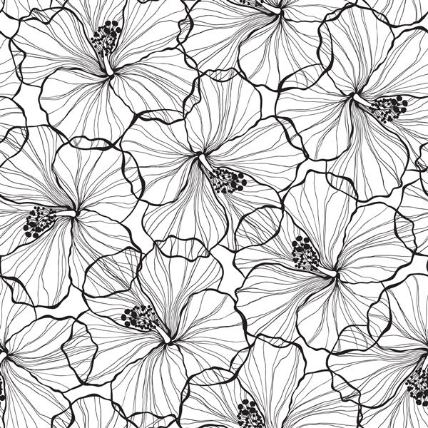 الگوی بدون درز سیاه و سفید با گل های هیبیسکوس