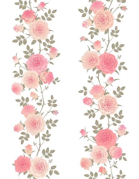 مجموعه الگوهای گل بدون درز شاخه های گل رز انگلیسی جدا شده در پس زمینه سفید وکتور حاشیه با گل رز کوهنوردی