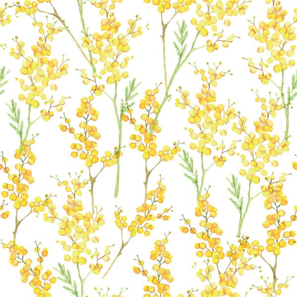 الگوی بدون درز دستی آبرنگ با گل‌های بهاری - میموزای زرد در پس‌زمینه سفید