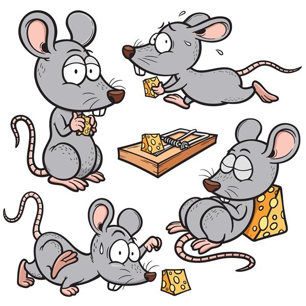 تصویر برداری از موش کارتونی