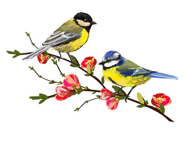 تصویر برداری زیبا با پرندگان طراحی شده با دست گل ژاپنی درخت کاغذ دیواری بهار شاخه ها ایده آل برای کاغذ دیواری پس زمینه صفحه وب بافت سطح پارچه