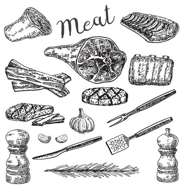 مجموعه محصولات گوشتی وکتور جوهر کشیده شده با دست تصویر طرح قدیمی گوشت بیکن گیاهان و ادویه جات برای دستور غذا منو و چاپ