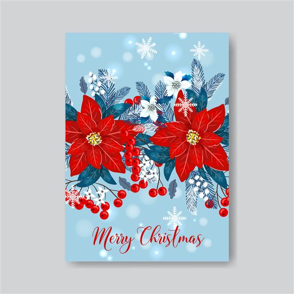 الگوی وکتور کارت تبریک کریسمس و سال نو مبارک Poinsettia در زمینه آبی