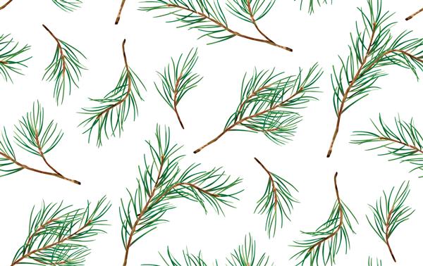 الگوی بدون درز صنوبر کریسمس کاج شاخه طبیعی درخت سال نو برگ‌های سبز چاپ گیاه‌شناسی با دست وکتور کاغذ دیواری فصلی پشتیبان زمستانی پارچه نساجی بافت طرح کاغذ