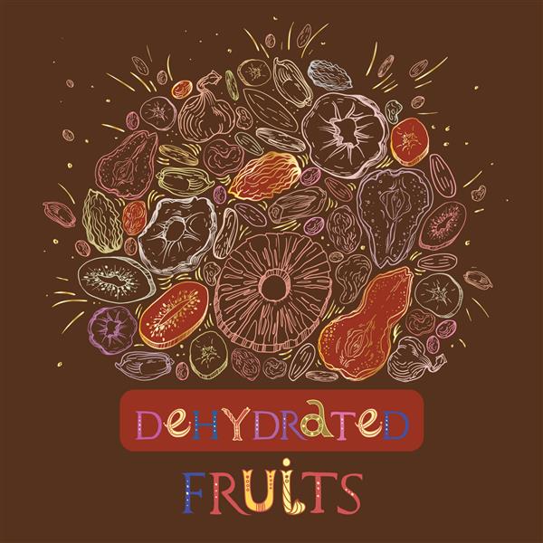 الگوی گرد میوه خشک شده به سبک حکاکی شده با عناصر و حروف طلایی تصاویر وکتور رنگی کاملاً قابل ویرایش برای پس زمینه یا برچسب