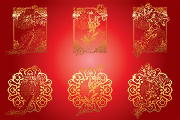 مجموعه ای از گیاهان دارویی با قاب های طرح دار جینسینگ بابونه سلندین تصویر برداری به سبک حکاکی به رنگ قرمز و طلایی