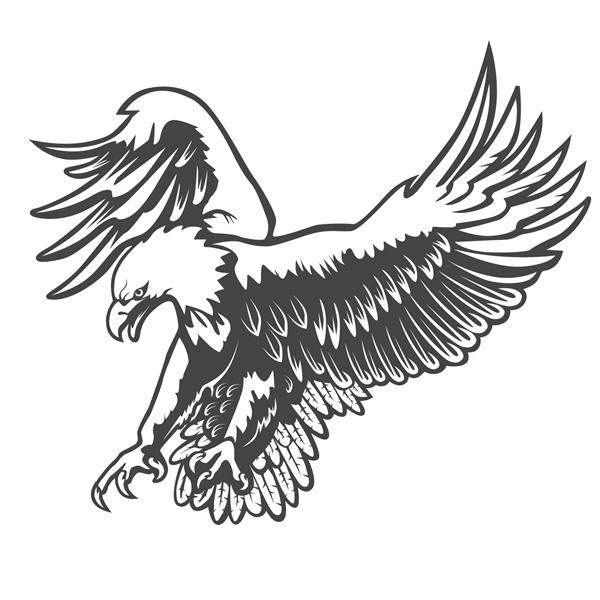 نشان عقاب جدا شده بر روی تصویر برداری سفید نماد آمریکایی آزادی