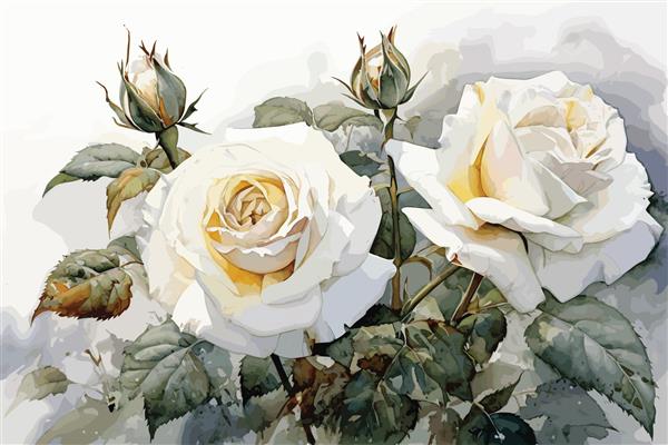 نقاشی آبرنگ پاشش های رنگارنگ روی پس زمینه گل گل رز برگ گل سفید