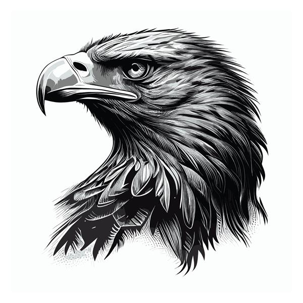 تصویر برداری وکتور جوهر سر عقاب سیاه و سفید