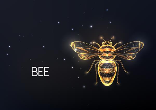 زنبور طلایی انتزاعی زنبور عسل ساخته شده از خطوط ستاره ها چند ضلعی های جدا شده در پس زمینه سیاه