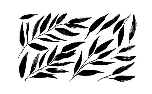 مجموعه شبح های سیاه شاخه برگ یا شاخه کلیپ آرت و نمادهای عنصر گیاه شناسی شبح گیاهان جدا شده در پس زمینه سفید عناصر گیاهی تک رنگ با اثر ضربه قلم مو خشک