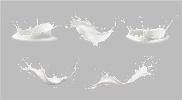 پاشیدن واقعی شیر یا موج زدن با قطرات و پاشیدن شیر مایع به شکل تاج می‌چرخد و می‌چکد جریان‌های جریان مایع مجموعه ایزوله عناصر سه بعدی واقع گرایانه محصول تازه شیری یا لبنی