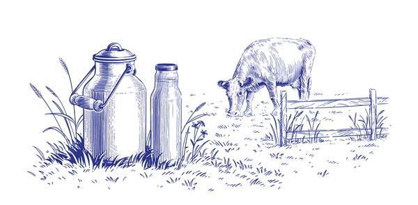 شیر در یک قوطی و یک گاو با دست طراحی طرح حکاکی سبک تصویرسازی