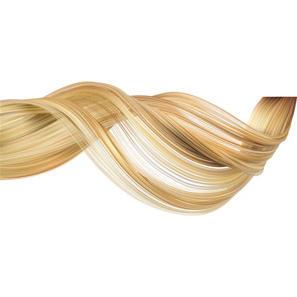 یک فر از موهای مجعد زنانه موهای بلوند زن سالم و زیبا وکتور تصویر واقع گرایانه سه بعدی جدا شده در پس زمینه سفید