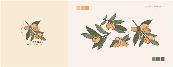 تصویر برداری شاخه آرگان - سبک حکاکی قدیمی ترکیب لوگو به سبک گیاه شناسی یکپارچهسازی با سیستمعامل