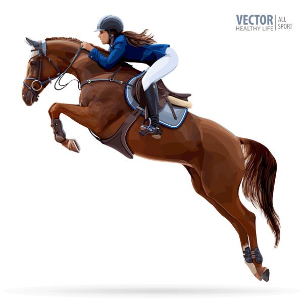 سوارکار سوار بر اسب قهرمان اسب سواری ورزش سوارکاری جوکی سوار بر اسب پرش پوستر پس زمینه ورزشی تصویر برداری جدا شده