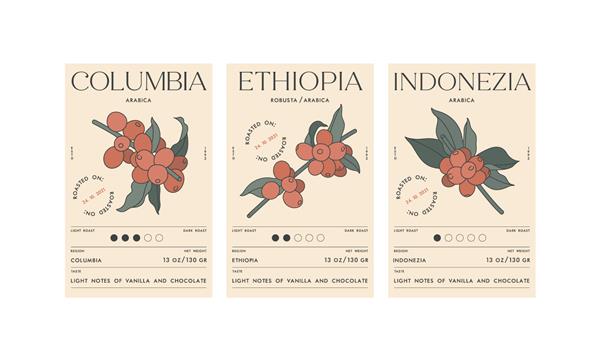 برچسب های طراحی تصویر مجموعه وکتور برای بسته های قهوه طراحی مینیمالیستی و مدرن با شاخه دانه قهوه