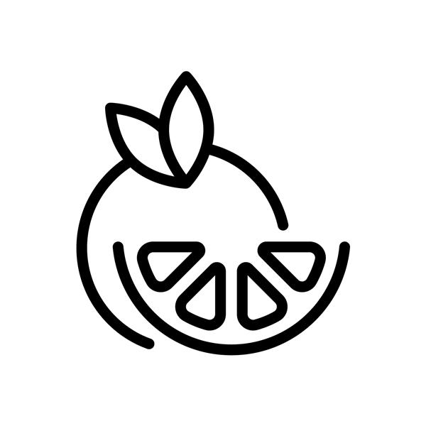 تکه پرتقال نصف لیمو میوه تازه نماد غذا نماد سیاه در پس زمینه سفید
