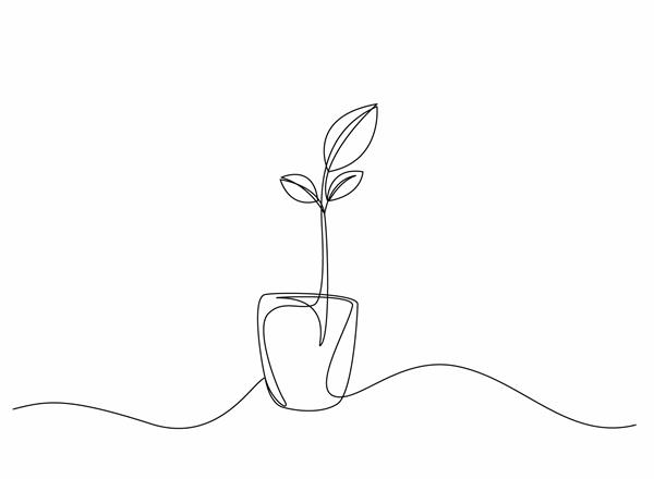 درخت ترسیم یک خطی پیوسته پرورش گیاه در گلدان درختی تصویر برداری سیاه و سفید مفهوم کسب و کار سرمایه گذاری