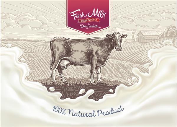 گاو طراحی به سبک گرافیکی در پس زمینه منظره روستایی با مزرعه با شیر پاشیده در پیش زمینه