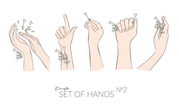 حرکات مختلف دست مردم در دستان خود گیاهان را گرفته اند
