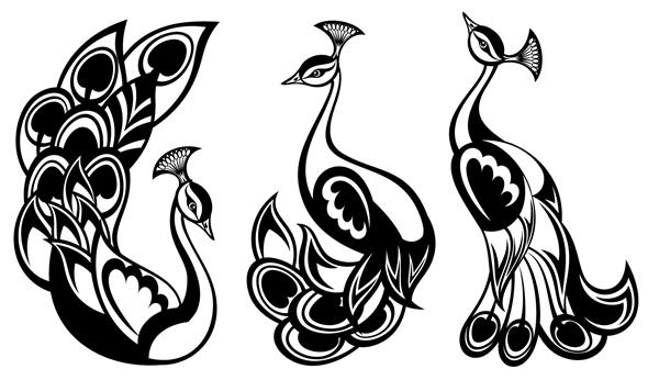 طاووس ها مجموعه وکتور طاووس لوگوی پرنده برای طراحی شما
