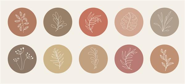 الگوهای جلد برجسته داستان ارگانیک انتزاعی وکتور جدا شده در پس‌زمینه سفید تصویر گیاه شناسی در رنگ های خاکی خنثی مجموعه عناصر طراحی هیپستر